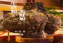 雅阁酒店集团｜湖州红木房雅阁璞邸酒店·十二时辰