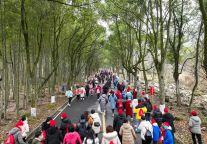 新年新气象！明月山元旦旅游市场回暖 ，客流量激增、烟火气回归！