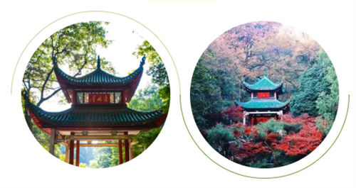 微信截图_20211029171503.png