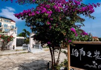 乡村民宿迎来“开门红” 飞猪、小猪民宿1月份预订量同比劲增132%