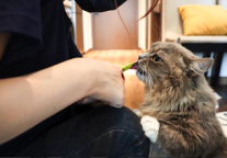 国庆期间，竟然有天使出现在方隅公寓…