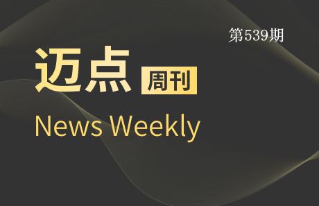 迈点周刊539期