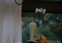 食一碗人间烟火，饮几杯人生起落