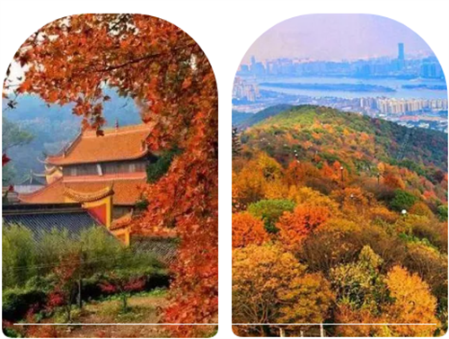 微信截图_20211029171615.png