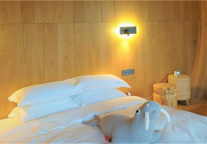 未来居携手江西新余树蛙部落 打造自然人文和智能生态空间