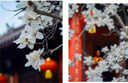 微信截图_20220318140704.png