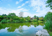 峨眉山蓝光己庄酒店的这份浪漫，仅你可见