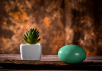 北京保障性租赁住房建设标准出台，公寓型租赁房人均不小于5平米