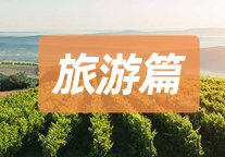 当代年轻人的标签是什么？