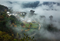 来阜阳市火车站北京东路格菲酒店，开启向往的生活