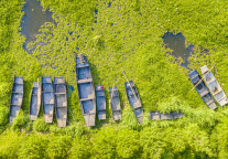 徐州云龙区师大云龙山景区格菲酒店，邀您来赏荷