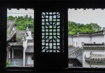 合肥青皮树酒店，与君共见冬日蓬勃生机