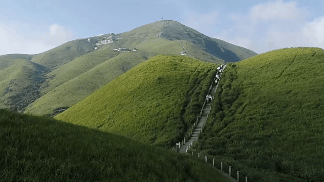 微信图片_20230416142429.gif