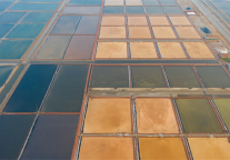 在滨州格林东方酒店，开启游览千年古镇之旅