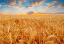 入住安徽省阜阳市国际汽配城格林豪泰酒店，无须忆归程