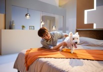 憬黎灵活居住模式，实现新居全期待