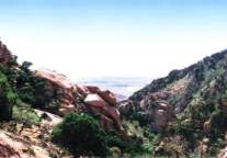 梅力更2021年营收938.45万元 同比增长72.84%