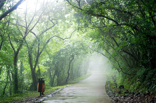 摄图网_501084094_雨后的大蜀山（企业商用）.jpg