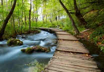 亚虎股份2021全年营收0元 同比下降100%