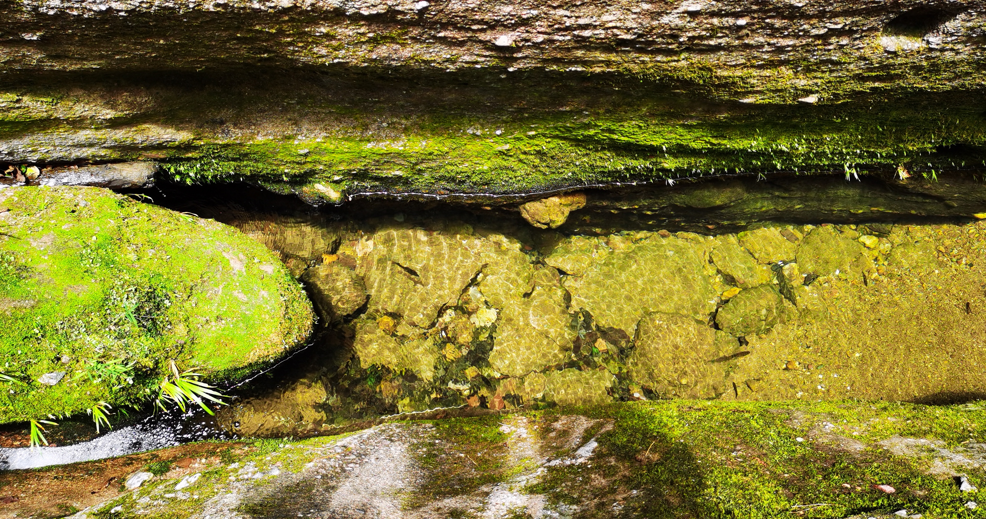 九寨沟景区今年接待游客已突破50万人次 
