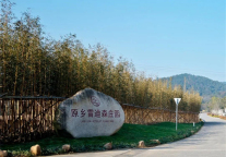 山水增色丨巨美家携手原乡雷迪森庄园