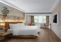 维也纳酒店X海尔家庭医疗，维也纳酒店（5.0重庆酉阳桃花源店）伴舒心入眠