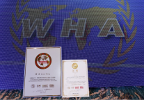 喜报 | ZMAX和潮漫品牌总裁黄玄荣获2022年五洲钻石奖