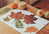 中国微度假消费趋势调查报告（2022）