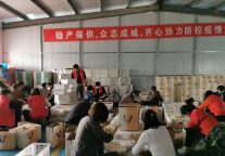 济宁孔子文化旅游集团南阳湖农场全力保障市民“菜篮子”不断档