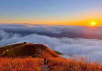 周末还想错过吗？武功山已连续6天出现绝美云海了