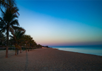 来海口市椰海大道青皮树酒店，与海相约冬日温暖