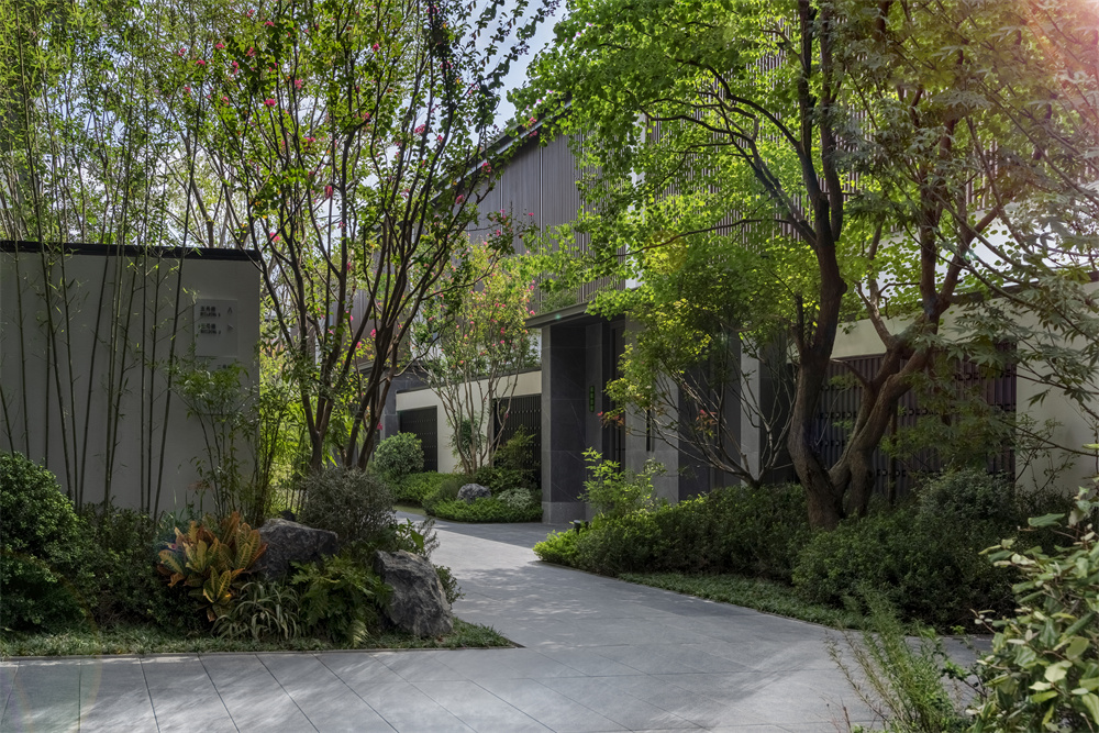 SZVBG_Suzhou Lane_.jpg