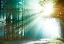 安徽合肥发布帐篷露营地23条新举措