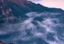 盛放的季节，开满喜爱！三八妇女节，武功山不负春光！