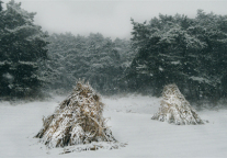 辽宁沈抚新区格林豪泰酒店，您旅途的忠诚伴侣