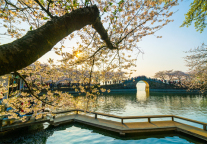 秋收冬藏，格菲酒店四季相随