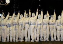 正青春｜玉兰绽放