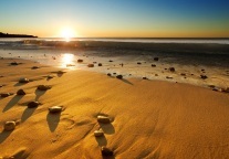 新疆5A级旅游景区7月以来日均接待量突破11万人次