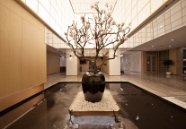 冬奥之年，本土酒店开启“更高、更快、更强”新时代｜商业评论