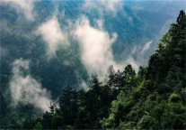 安徽省霍山县客运中心格林豪泰酒店，于革命老区等候您