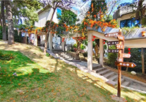 雅阁酒店集团|家门口遛娃新宠，莲花山下“绿野仙踪”新酒店