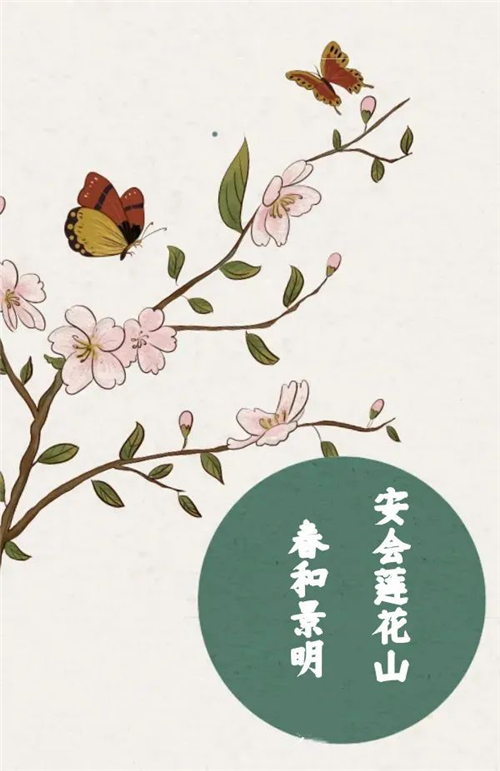 图片 2.png