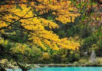 “文旅局长代言家乡”引发热议，景区花式营销如何避免“昙花一现”？