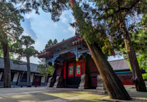 济宁孔子文化旅游集团荣获2022山东省旅游发展大会组织工作先进集体