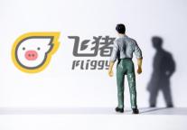 飞猪发布《2022年度囤旅游报告》：近三年囤旅游购买用户数年均增49%