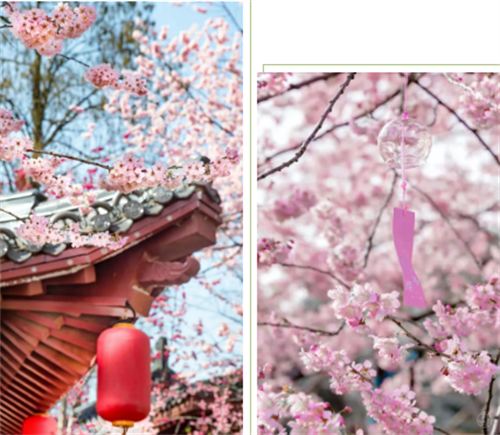 微信截图_20220318135348.png