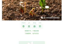 雅阁酒店集团|镇江西津渡春季时令菜，舌尖上的春意盎然