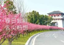 雅阁酒店集团|红木房雅阁璞邸酒店，赏味知春不时不食