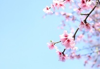 济南37家A级景区恢复开放