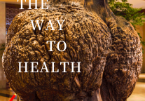 雅阁酒店集团|健康之道舒心之选，尽在红木房雅阁璞邸酒店